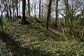 Champsigny shaft slag heap.