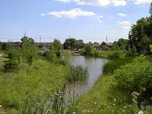 Terraview Willowfield Park 3490-TVW pond two.JPG