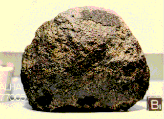 <span class="mw-page-title-main">Allan Hills 77005</span> Martian meteorite found in Antarctica