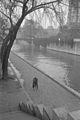 A couple walking along the Seine River in Paris.jpg