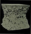 A treatise on concrete, plain and reinforced - materials, construction, and design of concrete and reinforced concrete; 2nd ed. (1912) (14597021359).jpg