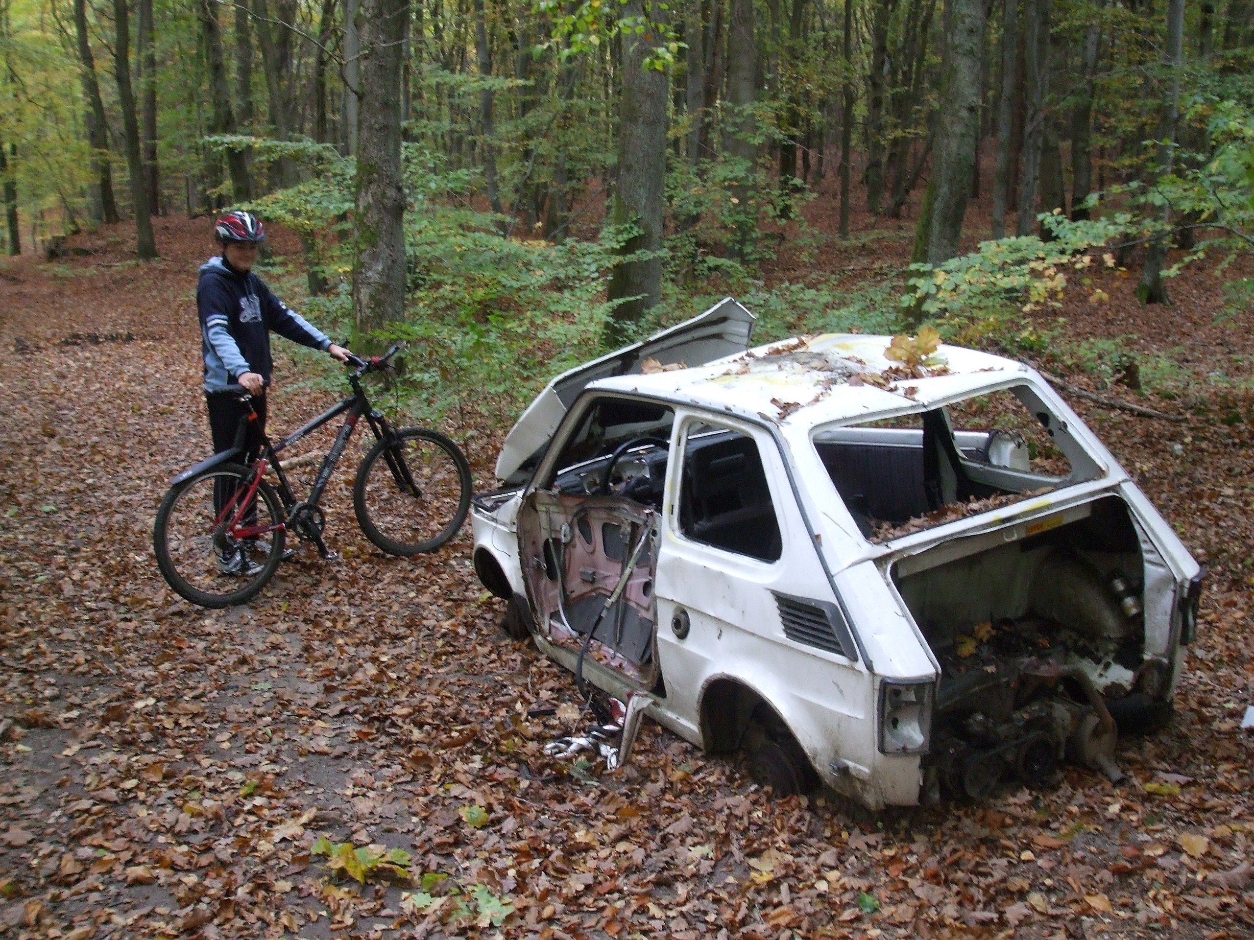 File:Abandoned Polski Fiat 126p in a forest.jpg - Wikipedia