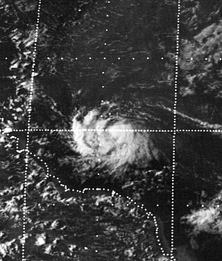 <span class="mw-page-title-main">Tropical Storm Alma (1974)</span> Atlantic tropical storm in 1974