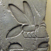 L'abeille symbole de la Basse-Égypte