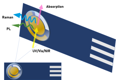 Screen-printed electrode with some of the different types of SEC measurements (absorption, emission, Raman scattering). The figure shows a system of three electrodes: the central disc, corresponding to the working electrode; the semicircle with the largest arc, corresponding to the auxiliary or counter electrode; and the semicircle with the smallest arc, the reference electrode. Andrea Santiuste Lydia Garcia Cristina Moreno.png