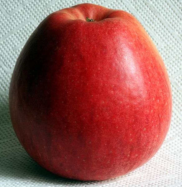 File:Apfel Pinova süß fruchtig 2008-3-1.JPG