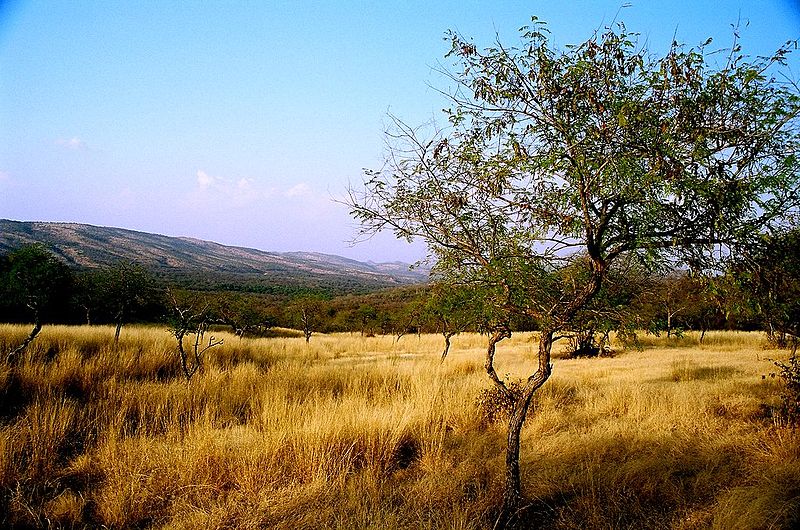 File:Aravali range inside Ranthambhore, Rajasthan.jpg