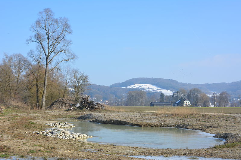 File:Auenrenaturierung Chly Rhy, neues Stillgewässer 2.JPG