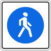 5.40 Pedestrian zone