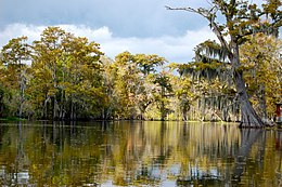 Staat Louisiana: Geschiedenis, Geografie, Cultuur