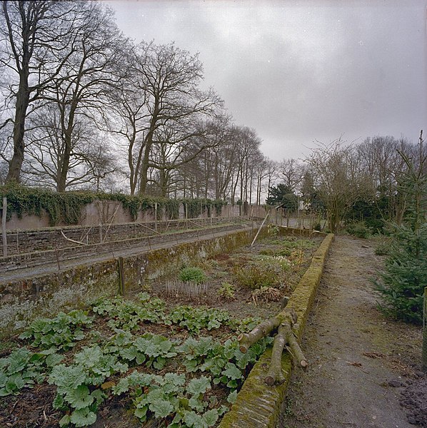 File:Beide koude bakken met fruitmuur op de achtergrond, de kleinere bak heeft bodembeplanting - Leusden - 20405713 - RCE.jpg