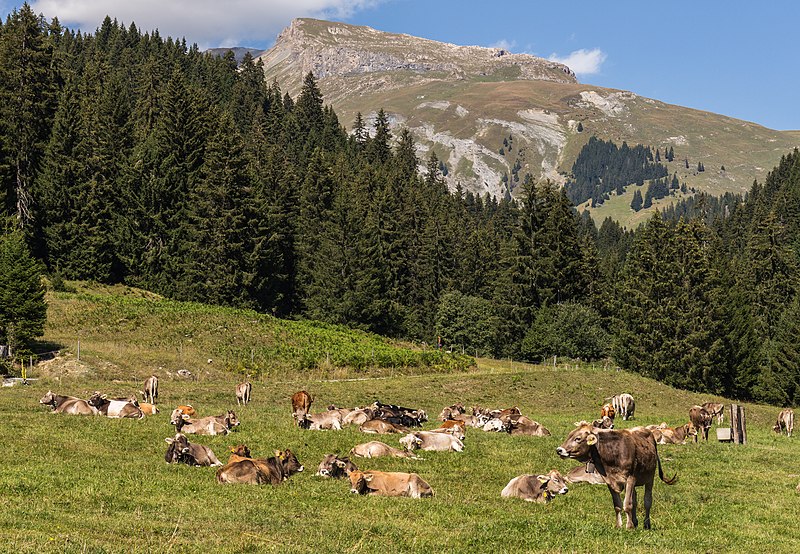 File:Bergweg tussen Andiast, Ladinas en Breil-Brigels (actm) 19.jpg