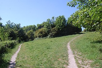 Bevendean Down (Local Nature Reserve) Bevendean Down (Local Nature Reserve), Bevendean (May 2020) (3).JPG