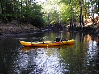 <span class="mw-page-title-main">Big Cypress Creek</span> River in the United States