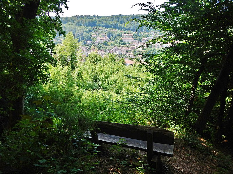 File:Blick Richtung Calw und Nagoldtal - panoramio.jpg