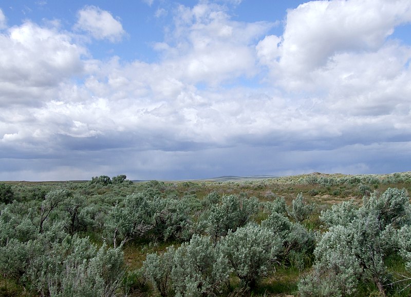 File:Blue Skies and Sage - panoramio.jpg