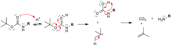 Abspaltungsmechanismus der Boc-Schutzgruppe