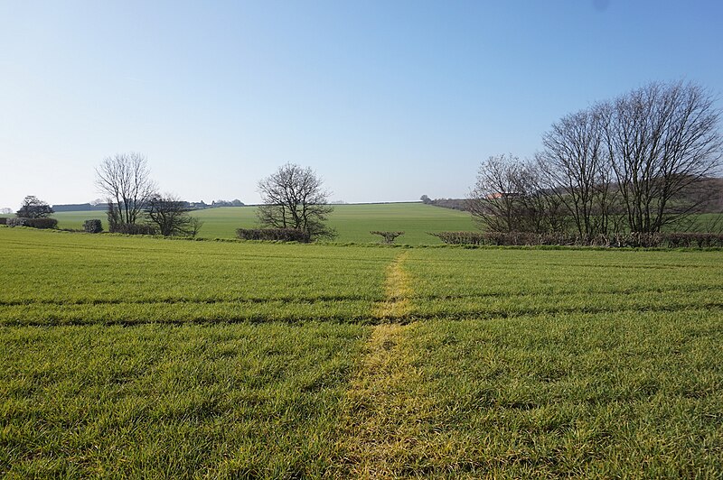 File:Bridleway towards Cross Hill Lane - geograph.org.uk - 6076137.jpg