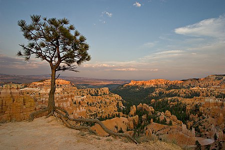 Tập_tin:Bryce_Canyon_1_md.jpg