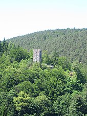 Burg Erfenstein