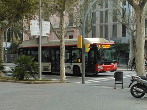 BusBCN 12.jpg