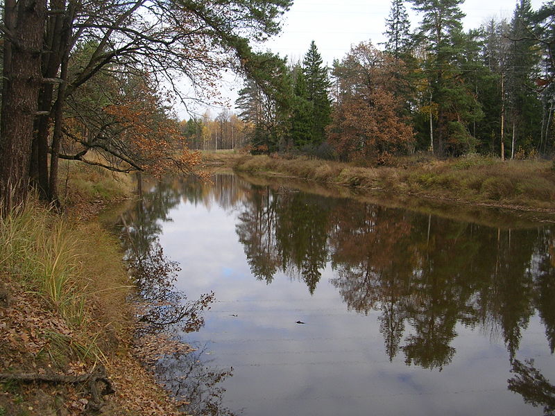 File:Buzha river near Izbishi.jpg