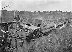 Climax locomotive with a log train on the forest railway near Mangapehi around 1922
