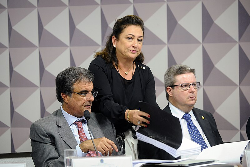 File:CEI2016 - Comissão Especial do Impeachment 2016 (26716717815).jpg