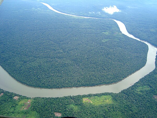 A river in the Amazon