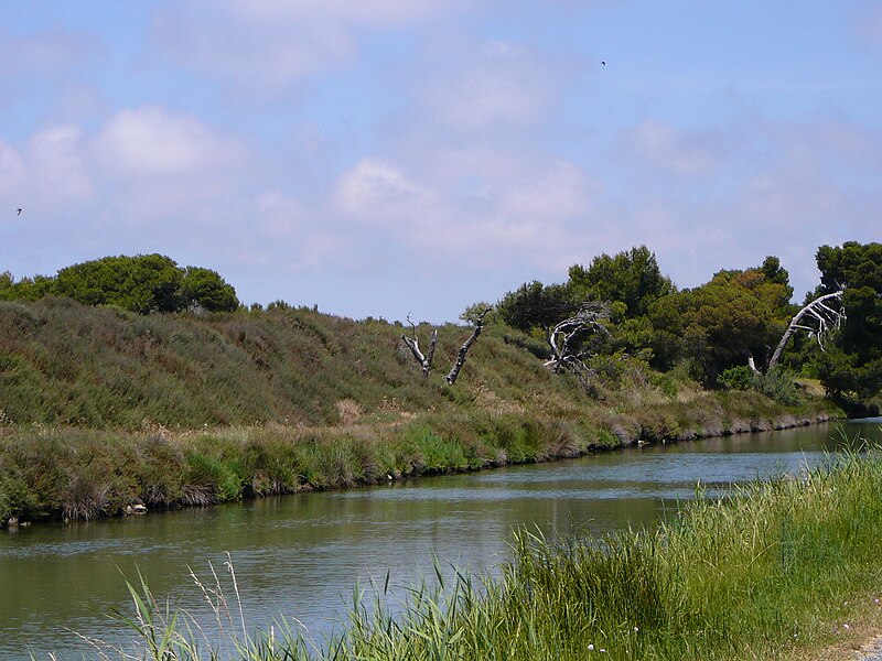 File:Canal de la Robine a Port-la-Nouvelle.jpg