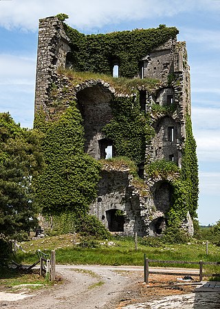 <span class="mw-page-title-main">Ballymarkahan Castle</span>