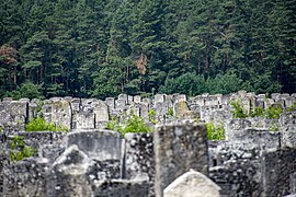 Cemitério judaico em Brody