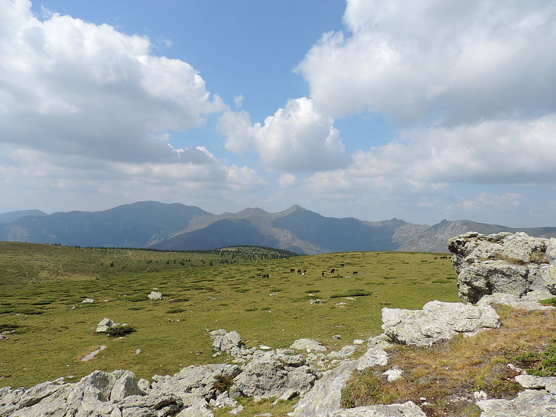 File:Central Balkan National Park 15.JPG