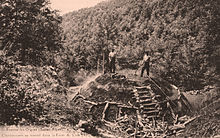 Quemadores de carbón en la montaña Lure a principios del siglo XX