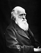 Darwin