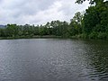 Čeština: Chlumec, okres Ústí nad Labem. Zámecký rybník. English: Chlumec, Ústí nad Labem District, Ústí nad Labem Region, Czech Republic. Zámecký pond. Camera location 50° 41′ 44.9″ N, 13° 56′ 56.6″ E    View all coordinates using: OpenStreetMap