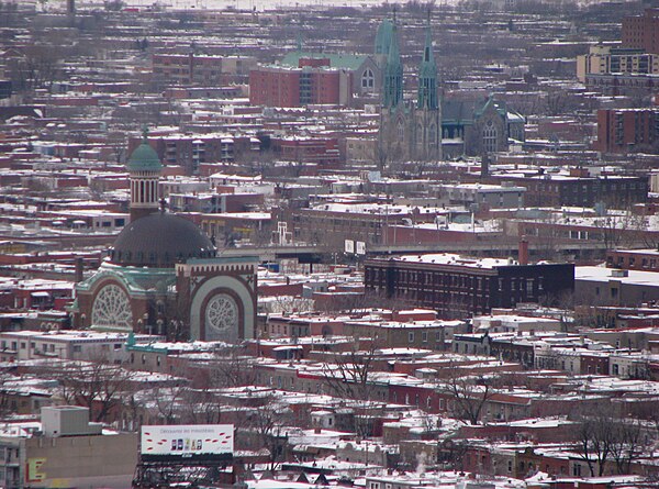 Mile End seen from Mount Royal