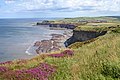 A rocky coast