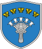 Coat of arms of Chervyen
