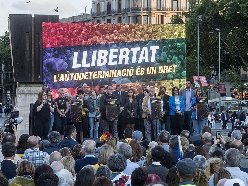 File:Concentració unitària sota el lema ‘Llibertat, l’autodeterminació és un dret‘. (Plaça Catalunya, Barcelona) (48060205001).jpg