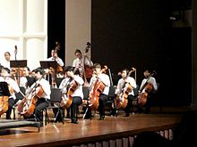 Concert Orchestra Cellos and Basses Concert Orchestra Cellos and Bassses.jpg