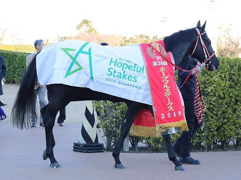 File:Contrail blanket 2019 hopeful stakes .jpg