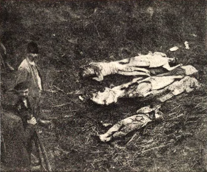 File:Corpses of the Russian Communards in Cherkasy 1919.png