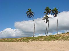 Costa do Sauípe-BA (1376934168).jpg