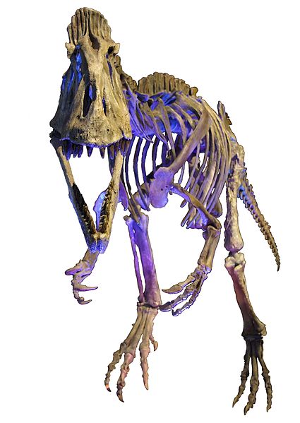 File:Cryolophosaurus MDSNDB White Background.jpg