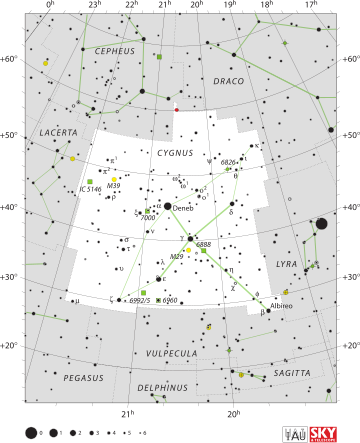 صدر الدجاجة (نجم)