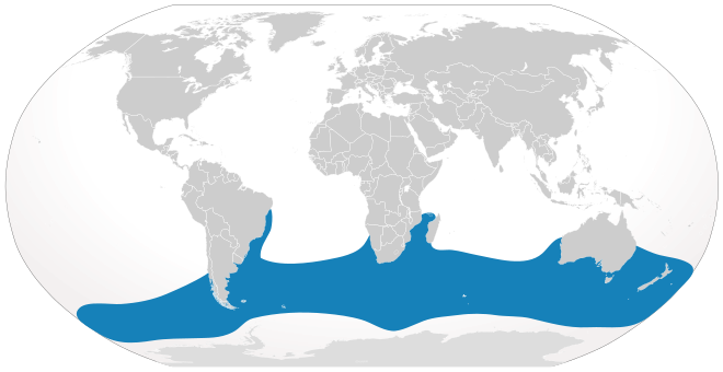 Cypron-Range Eubalaena australis.svg