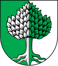 Brasão de Holzheim