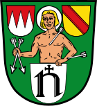 Coat of arms of the municipality of Steinfeld