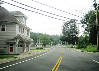 <span class="mw-page-title-main">Delanson, New York</span> Village in New York, United States